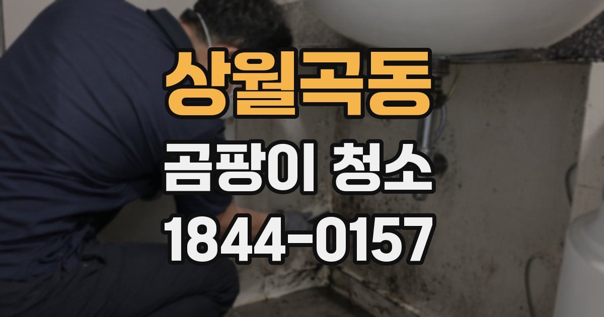 상월곡동 곰팡이 청소