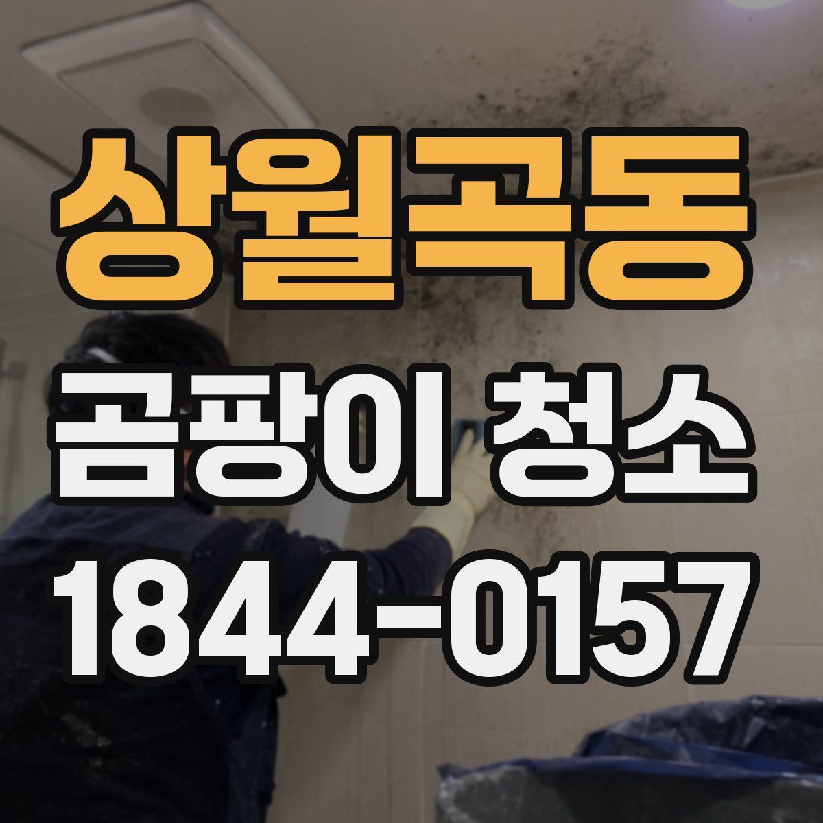 상월곡동 곰팡이 청소