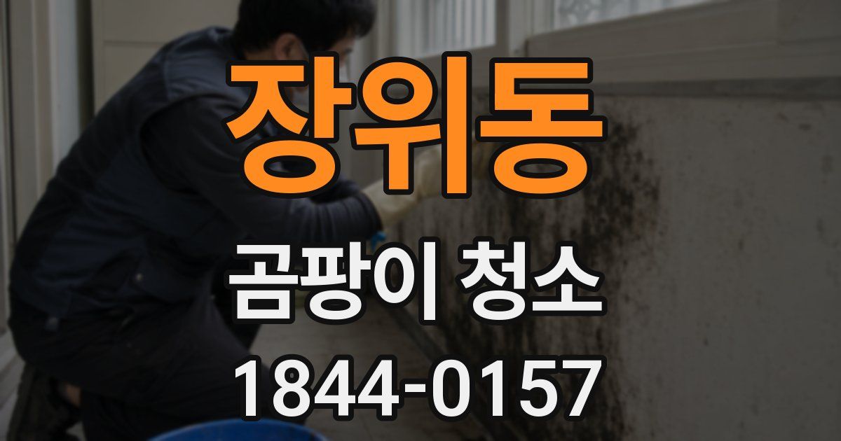 장위동 곰팡이 청소