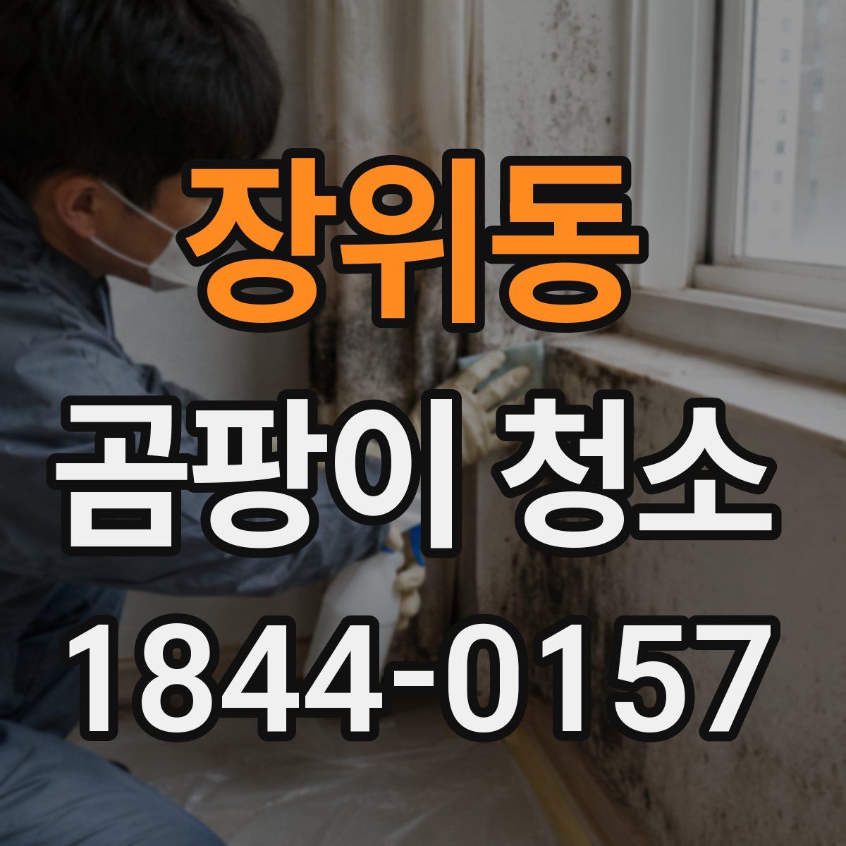 장위동 곰팡이 청소