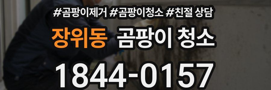 장위동 곰팡이 청소