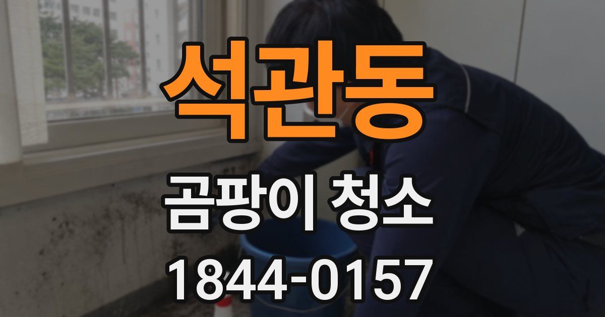 석관동 곰팡이 청소