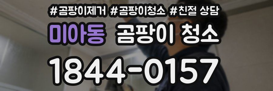 미아동 곰팡이 청소