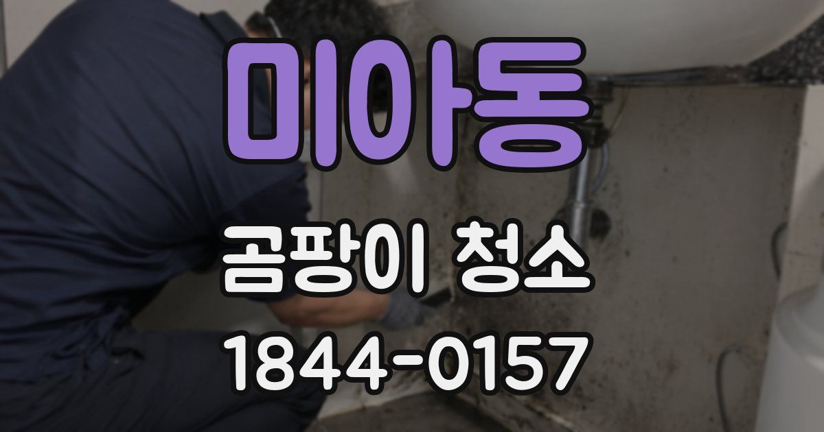 미아동 곰팡이 청소