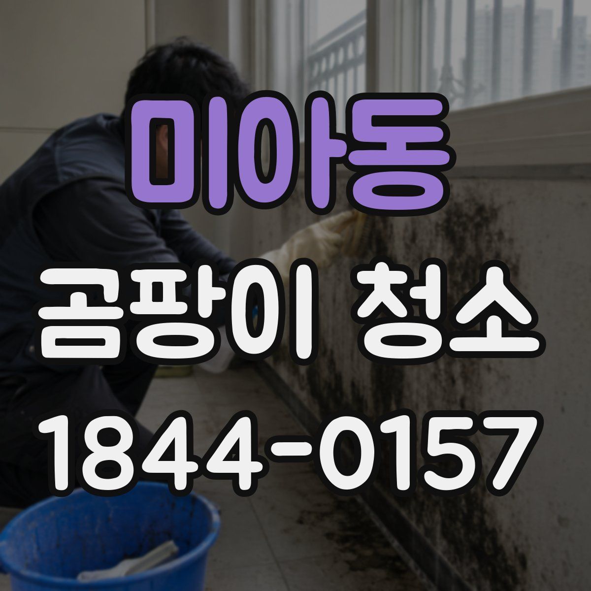 미아동 곰팡이 청소