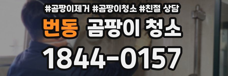번동 곰팡이 청소