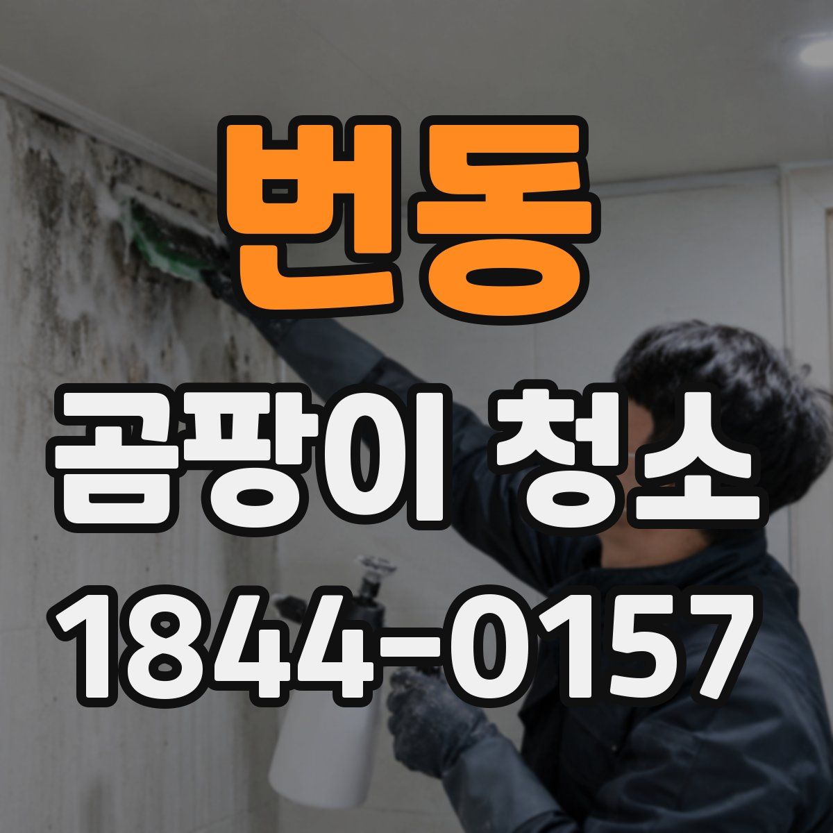 번동 곰팡이 청소