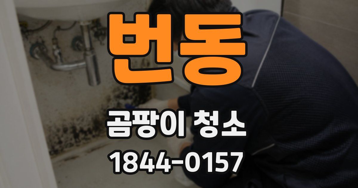 번동 곰팡이 청소