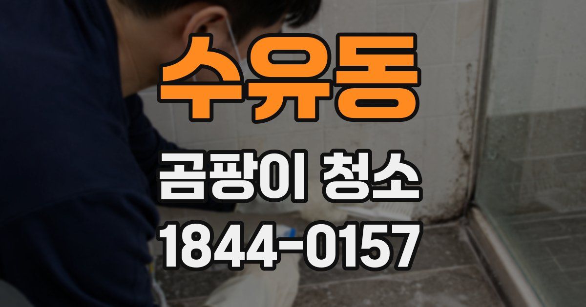 수유동 곰팡이 청소