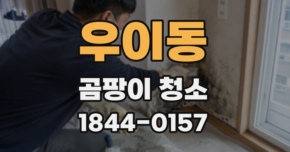 우이동 곰팡이 청소