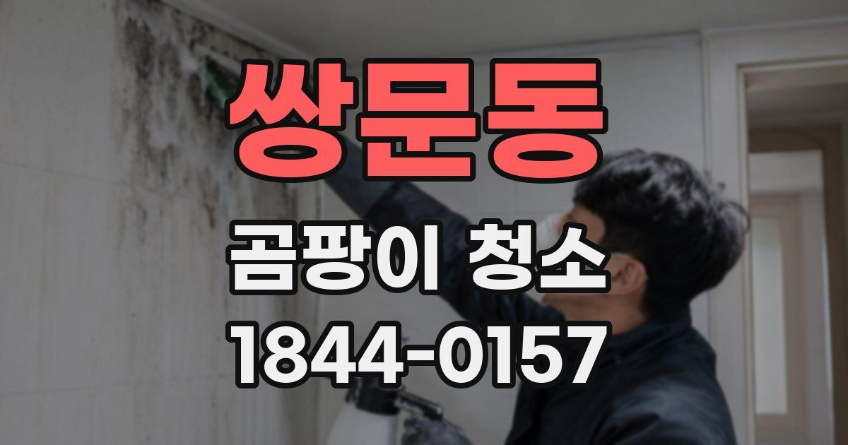 쌍문동 곰팡이 청소