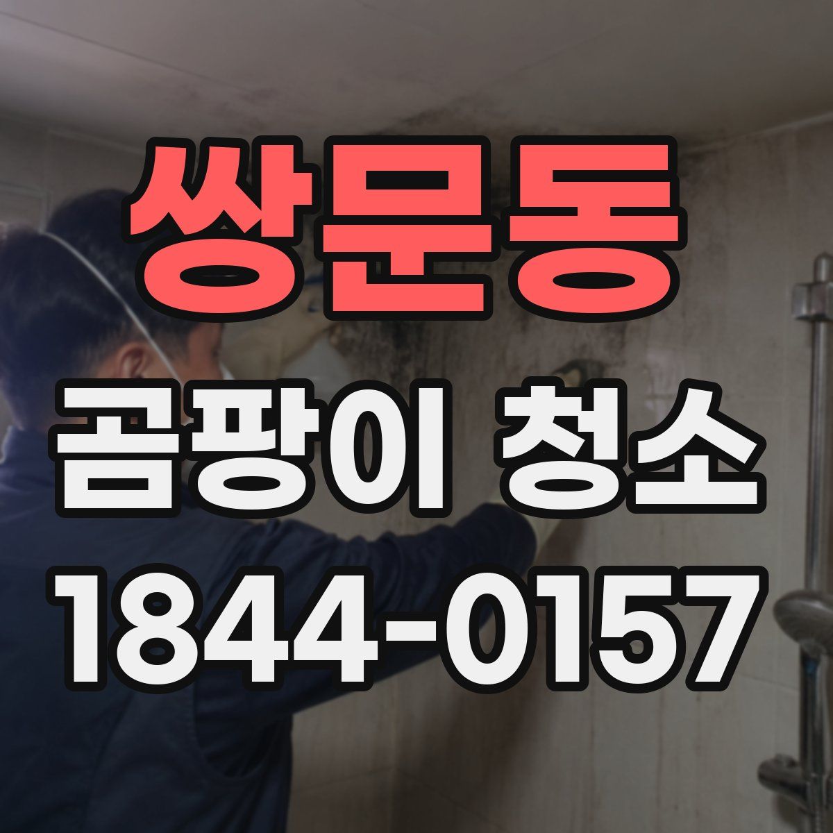 쌍문동 곰팡이 청소