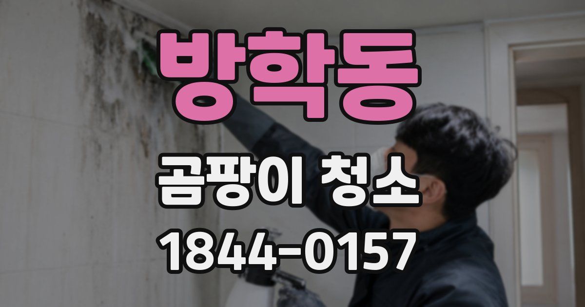 방학동 곰팡이 청소