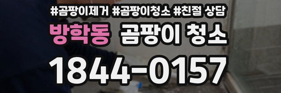 방학동 곰팡이 청소
