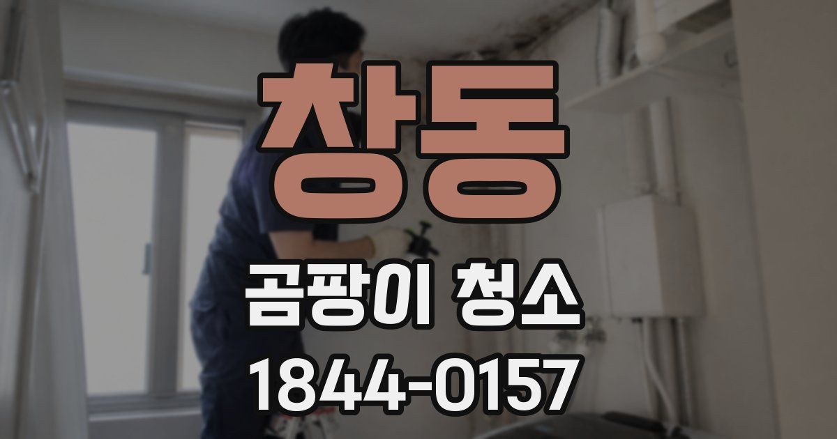 창동 곰팡이 청소