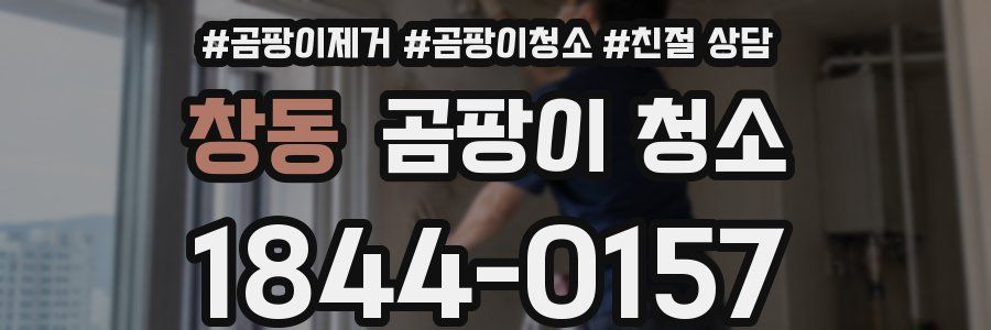 창동 곰팡이 청소
