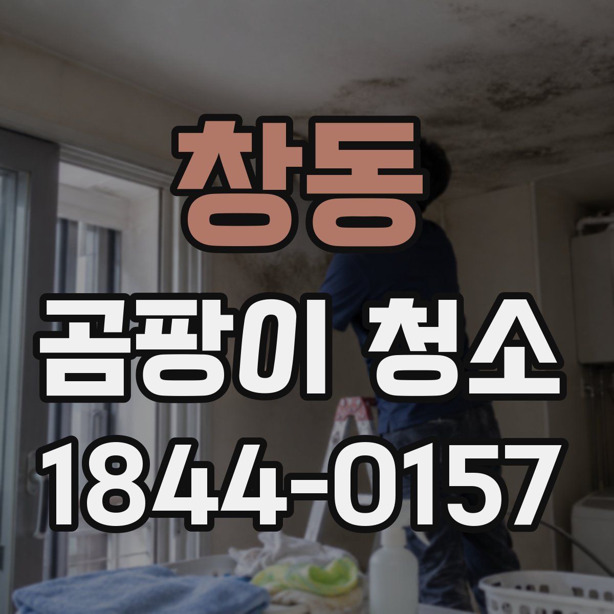 창동 곰팡이 청소