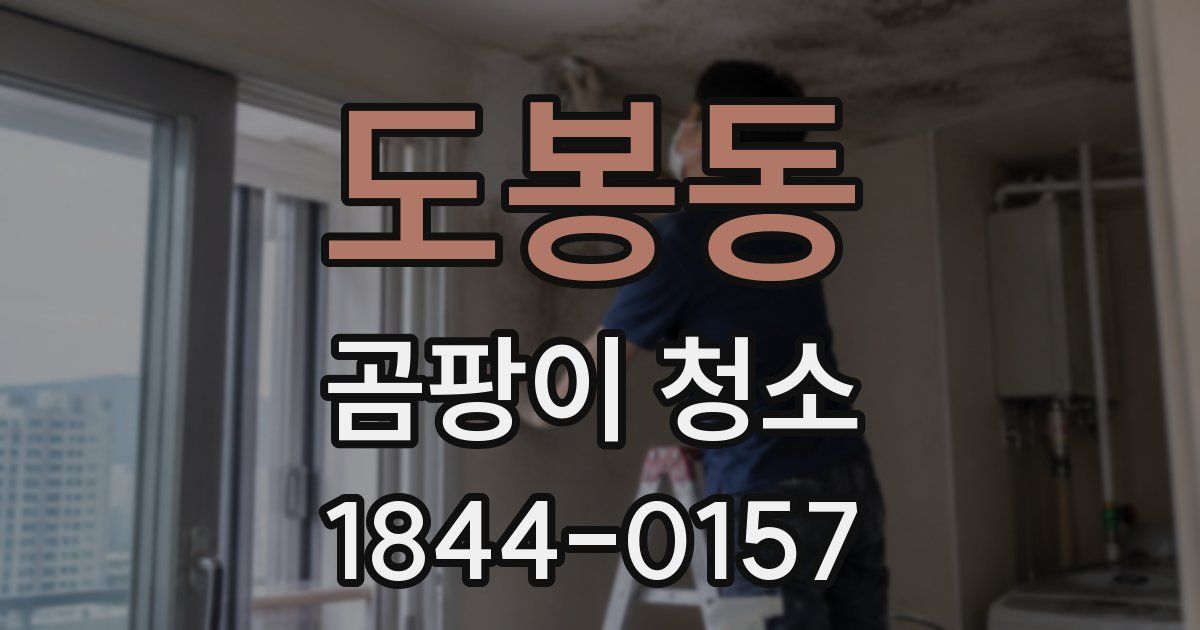 도봉동 곰팡이 청소