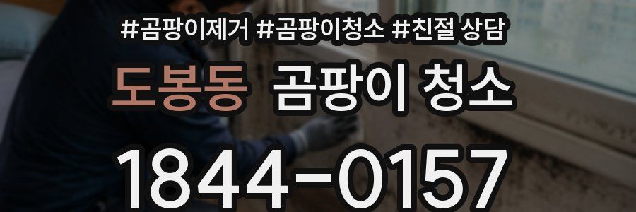 도봉동 곰팡이 청소