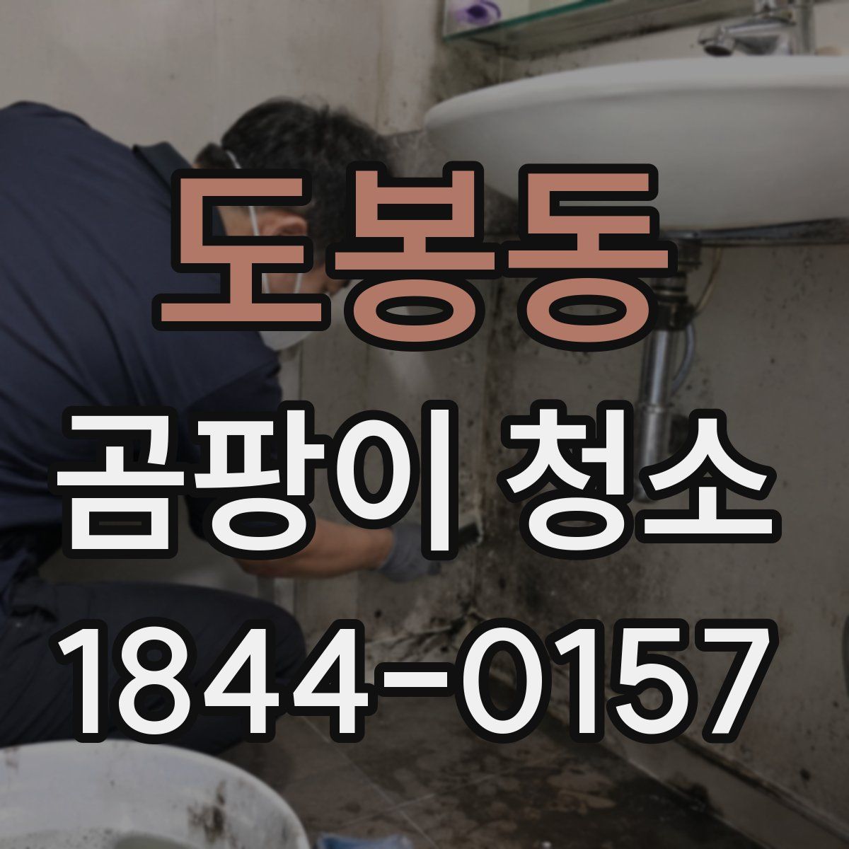 도봉동 곰팡이 청소