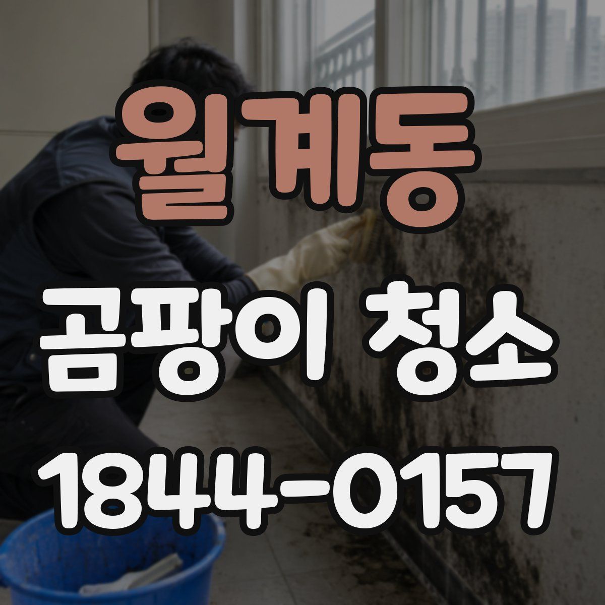 월계동 곰팡이 청소