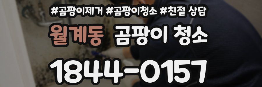 월계동 곰팡이 청소