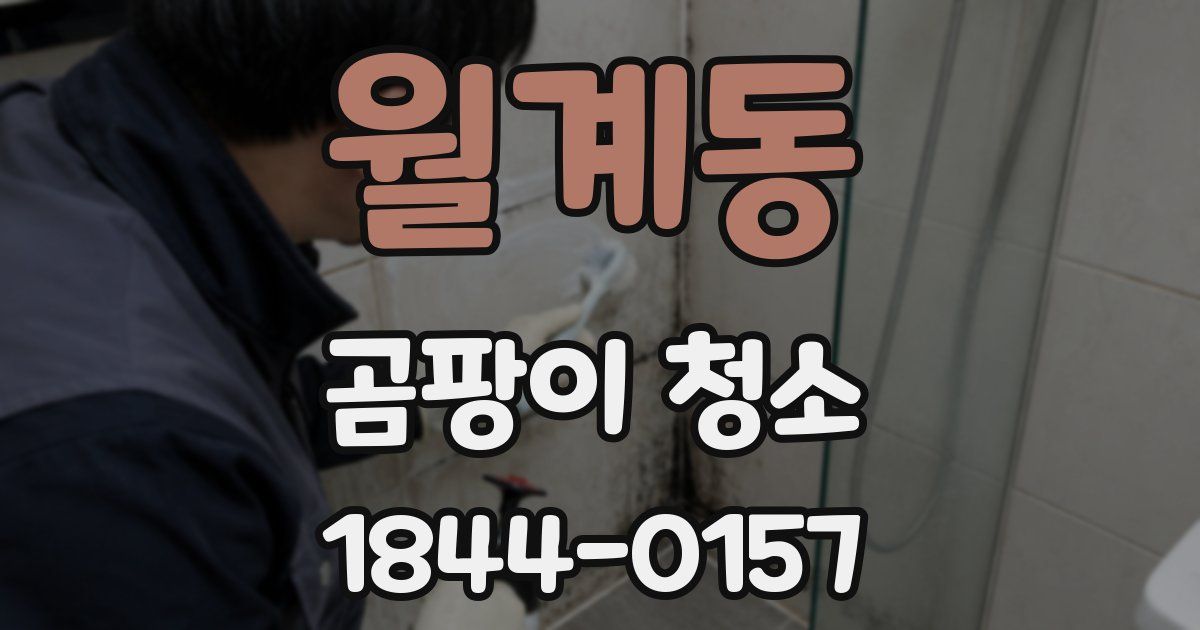 월계동 곰팡이 청소