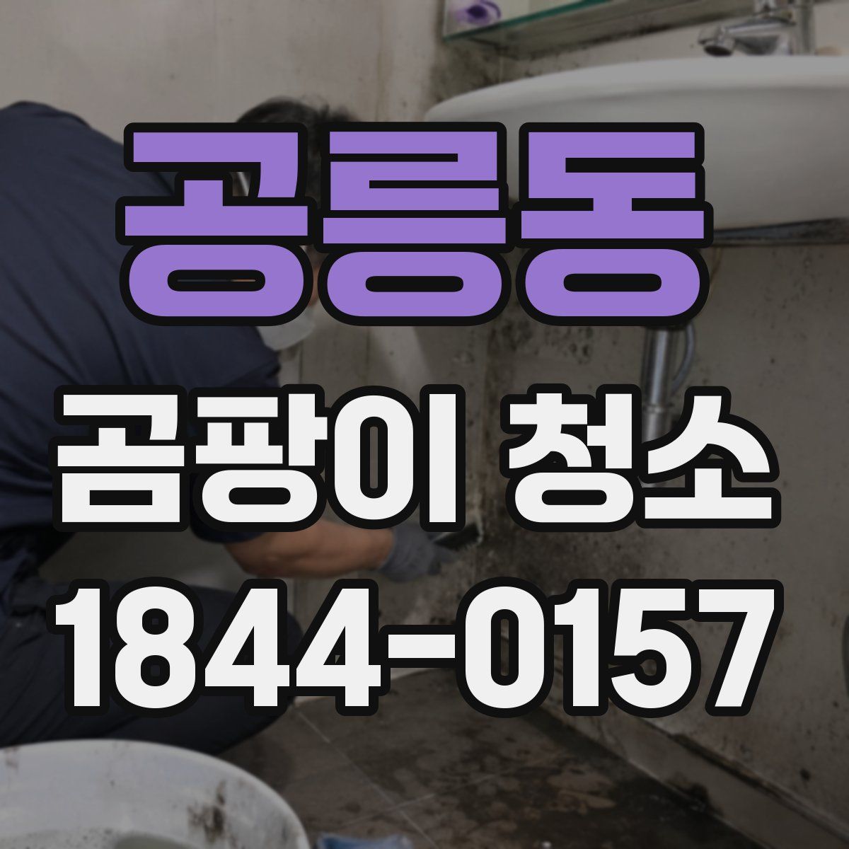 공릉동 곰팡이 청소