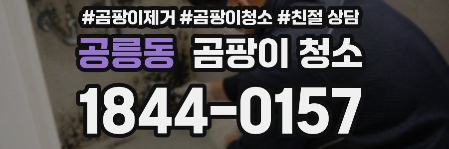 공릉동 곰팡이 청소