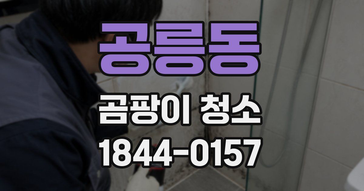 공릉동 곰팡이 청소