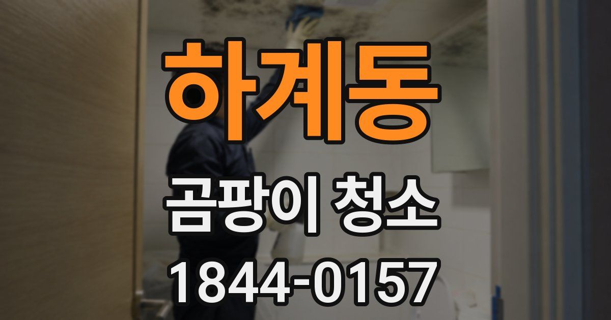 하계동 곰팡이 청소
