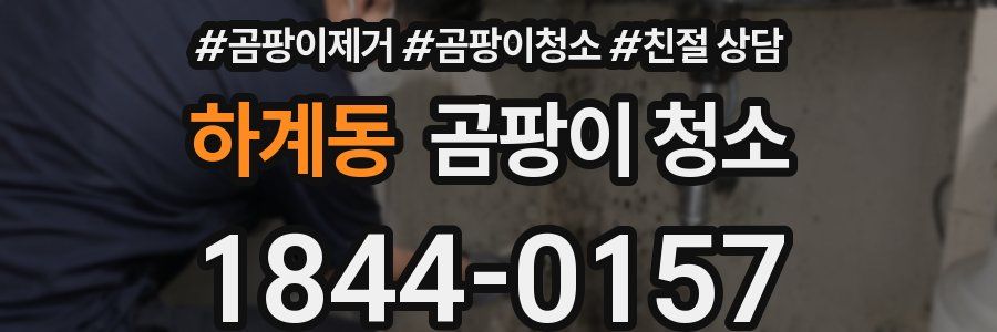 하계동 곰팡이 청소