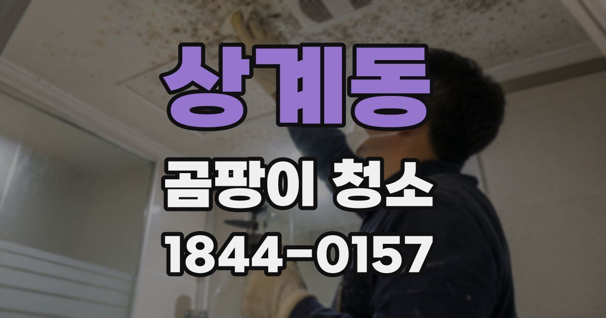 상계동 곰팡이 청소