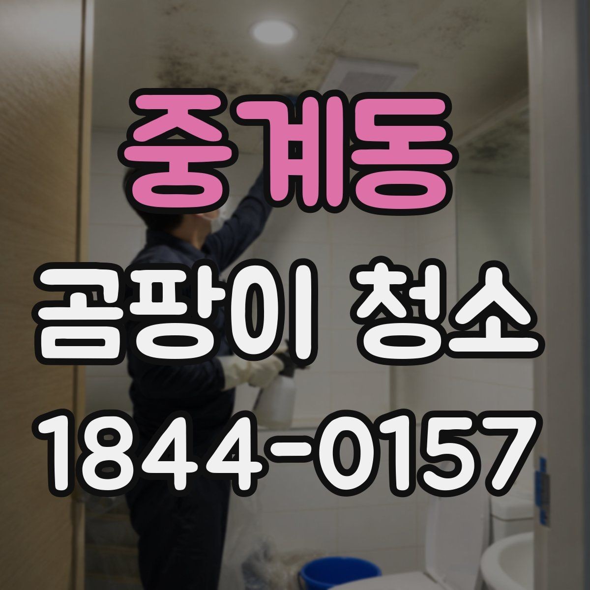 중계동 곰팡이 청소 업체 선정 시 체크해야 할 경험치