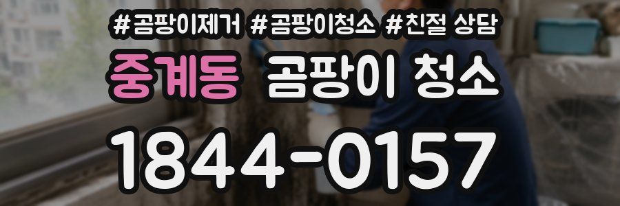 중계동 곰팡이 청소