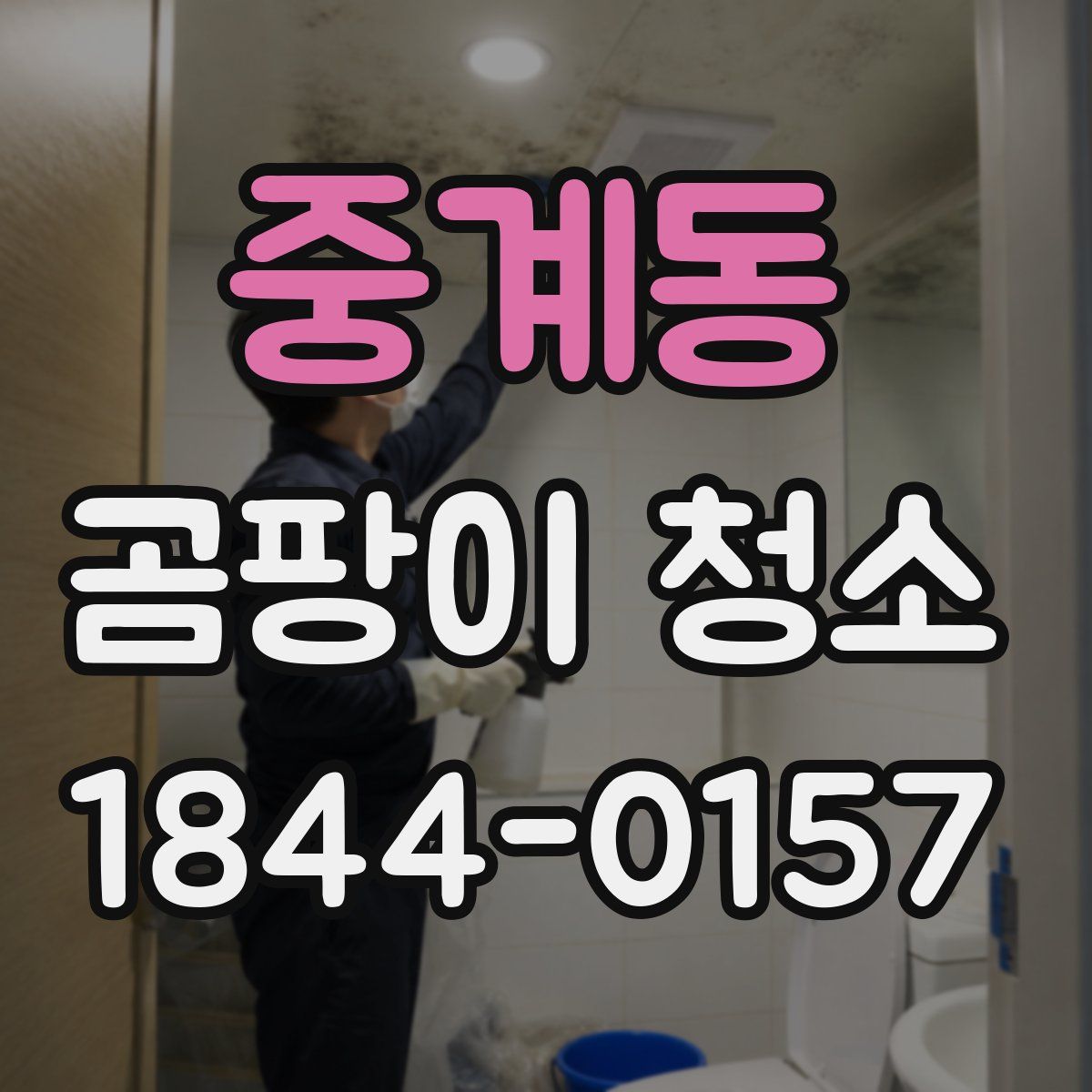 중계동 곰팡이 청소