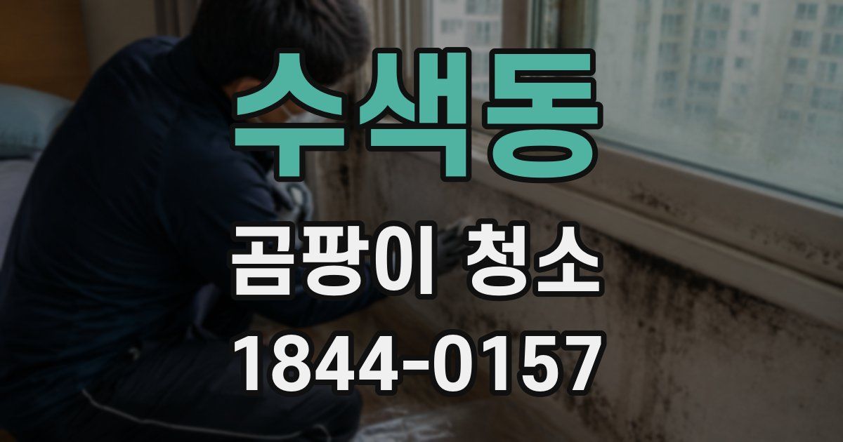 수색동 곰팡이 청소