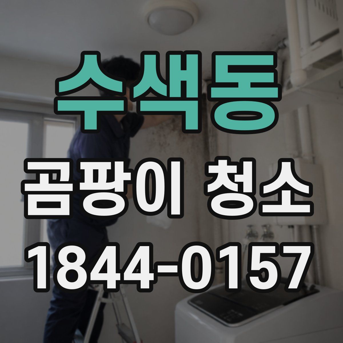 수색동 곰팡이 청소
