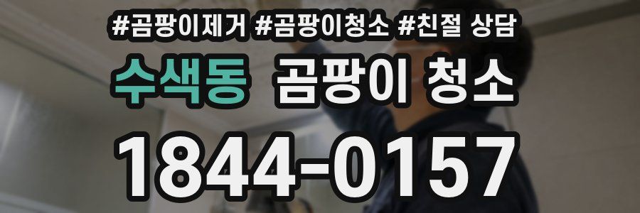 수색동 곰팡이 청소