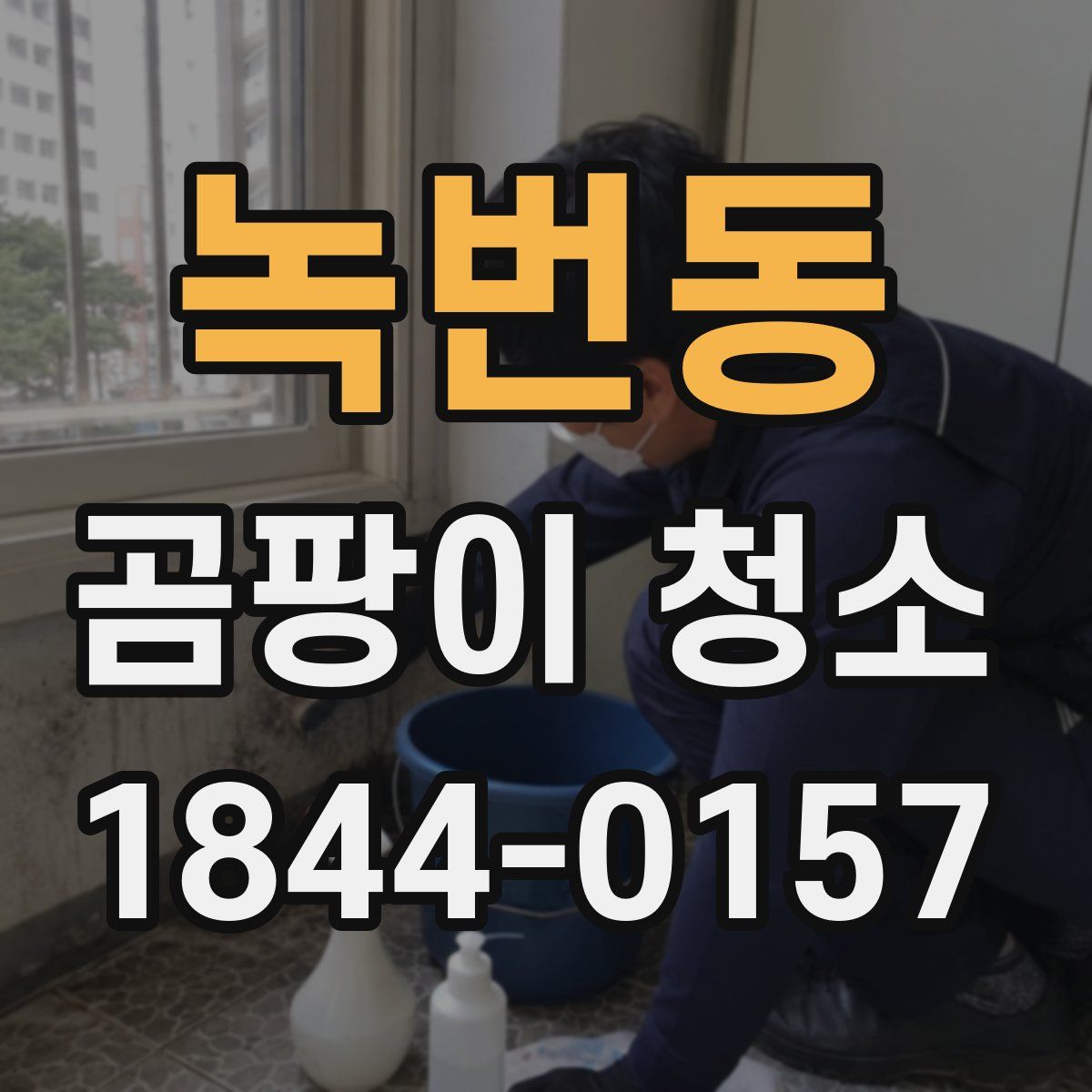 녹번동 곰팡이 청소