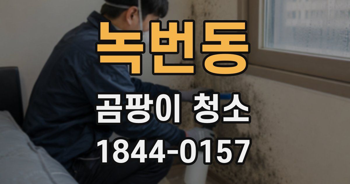 녹번동 곰팡이 청소