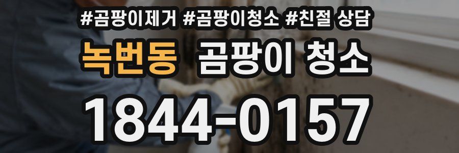 녹번동 곰팡이 청소