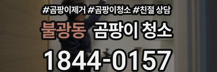 불광동 곰팡이 청소