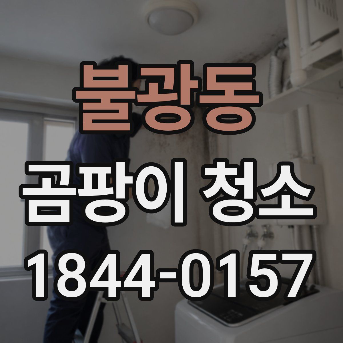 불광동 곰팡이 청소