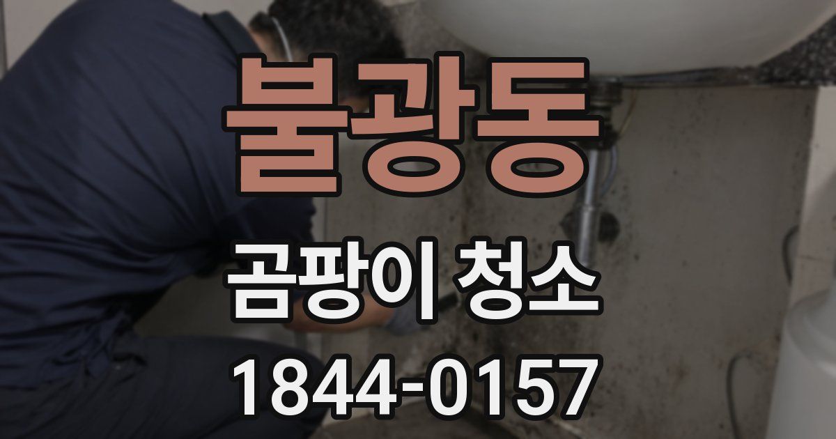 불광동 곰팡이 청소