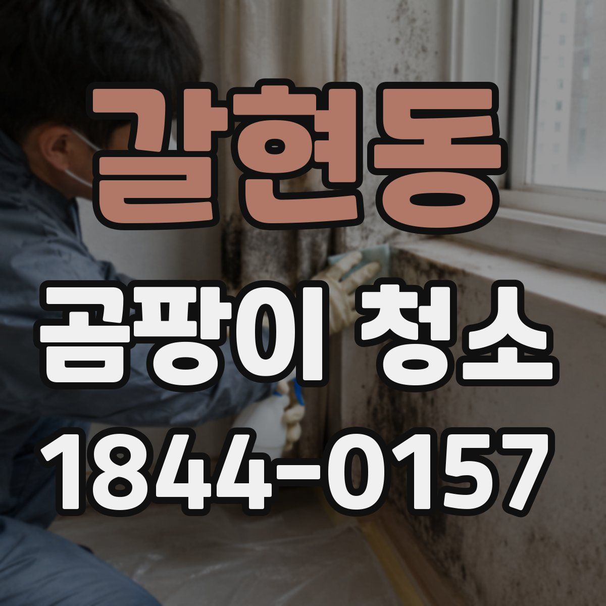 갈현동 곰팡이 청소