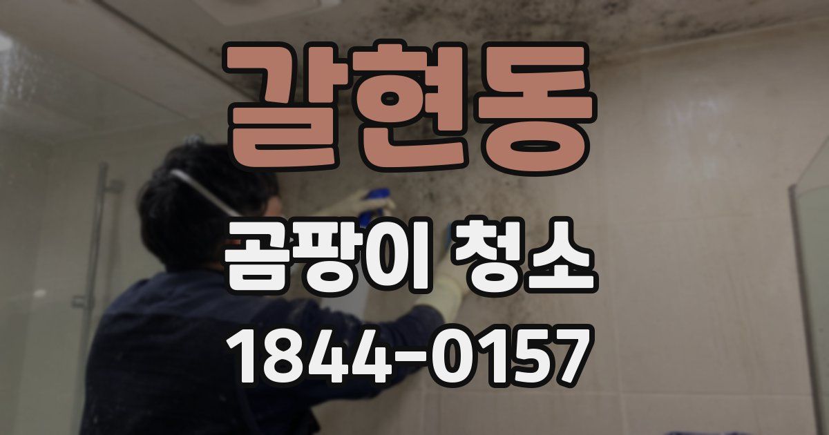 갈현동 곰팡이 청소