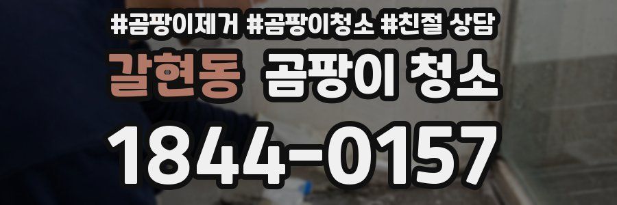 갈현동 곰팡이 청소