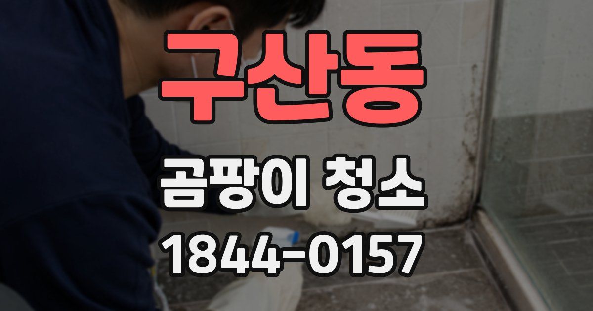 구산동 곰팡이 청소