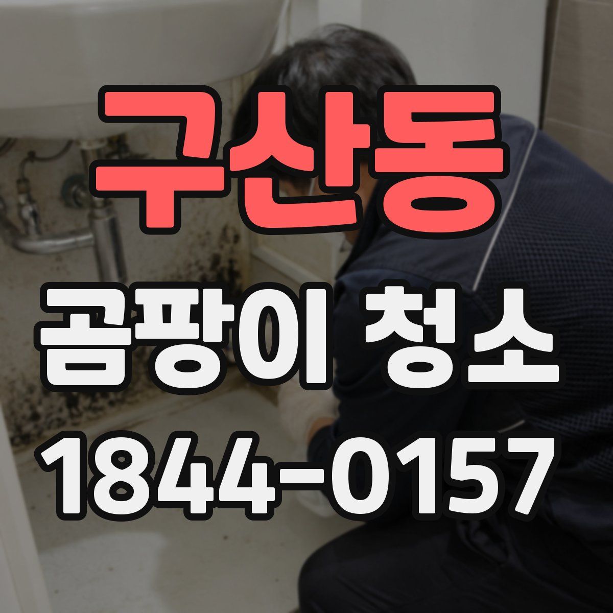 구산동 곰팡이 청소